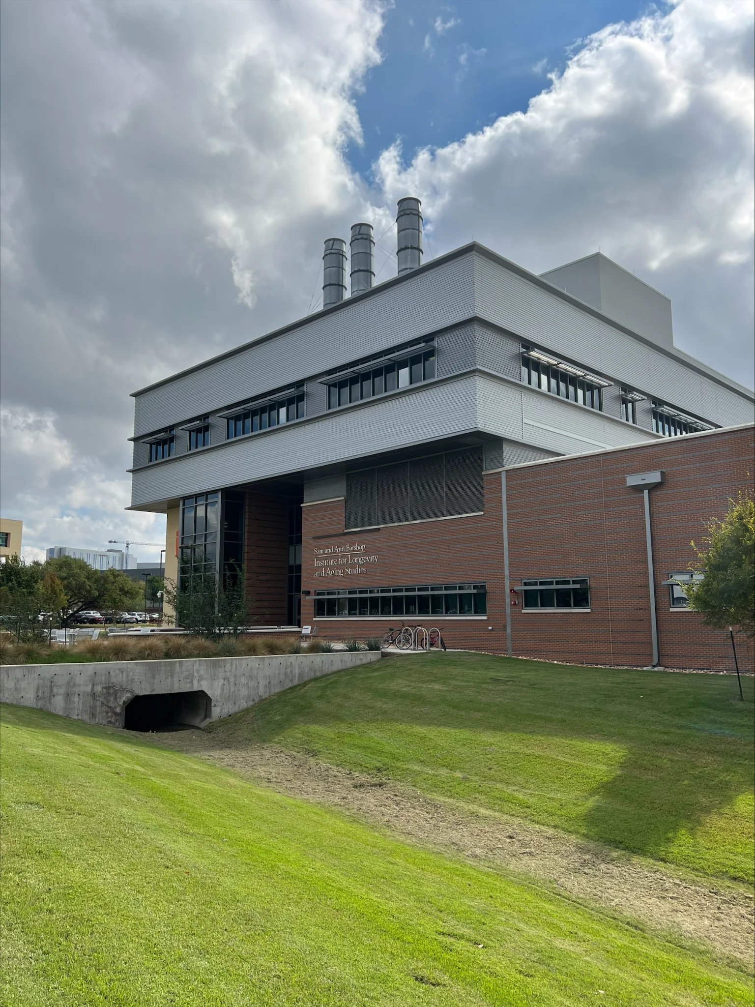 Institute for Longevity and Aging Studies